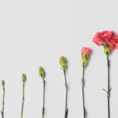 Technologieeinsatz im E-Commerce​​​​‌﻿‍﻿​‍​‍‌‍﻿﻿‌﻿​‍‌‍‍‌‌‍‌﻿‌‍‍‌‌‍﻿‍​‍​‍​﻿‍‍​‍​‍‌﻿​﻿‌﻿‌​‌﻿​‍‌‍​‌‌﻿​​‌‍‍‌​‍﻿‍‌‍‍‌‌‍﻿﻿​‍​‍​‍﻿​​‍​‍‌‍‍​‌﻿​‍‌‍‌‌‌‍‌‍​‍​‍​﻿‍‍​‍​‍‌‍‍​‌﻿‌​‌﻿‌​‌﻿​​‌﻿​﻿​﻿‍‍​‍﻿﻿​‍﻿﻿‌﻿​﻿‌﻿‌​‌‍​‌‌‍‌﻿‌‍‍‌‌‍﻿‍‌‍‌﻿​‍﻿‌‌﻿​﻿‌﻿‌​‌﻿​‍‌‍​‌‌﻿​​‌‍‍‌​‍﻿‍‌‍‍﻿‌‍﻿﻿‌﻿​﻿‌‍﻿‌‌‍﻿﻿‌‍﻿‍‌‍​‌‌﻿‌‌‌﻿‌​​‍﻿‍‌‍‍‌‌‍﻿﻿​‍﻿﻿‌‍​‌‌‍‌​‌‍﻿‌‌‍‍‌‌‍﻿‍​‍﻿﻿‌‍​﻿‌‍﻿﻿‌‍﻿‍‌﻿‌​‌‍‌‌‌‍﻿‍‌﻿‌​​‍﻿‌‌‍﻿‌‌‍​‌‌‍﻿‍‌‍​‌‌‍‌﻿‌‍‌‌‌﻿​‍​‍﻿﻿‌‍​﻿‌‍﻿﻿‌‍﻿​‌‍﻿​‌‍‌‌‌‍​﻿‌﻿‌​‌‍‍‌‌‍﻿﻿‌‍﻿‍‌‌‌​‌﻿‍‌‌﻿​​‌‍‌‌​‍﻿﻿‌‍​‌‌﻿​​‌‍‍‌​﻿‍‍​﻿‍‍‌﻿​​‌‍​‌‌‍‌﻿‌‍‌‌​‍﻿‍‌﻿​​‌‍​‌‌‍‌﻿‌‍‌‌​‍﻿﻿​﻿‌﻿​﻿​​​‍​﻿‌​​﻿‌‍﻿﻿‌‍﻿‌‌﻿​​‌‍﻿﻿‌‍﻿‍‌‍‌‌‌‍﻿‍‌﻿‌​‌﻿​﻿​‍﻿‍​﻿​‍​‍﻿‍‌‌‌​‌‍‌‌‌‍​‌‌﻿​﻿‌‍‌‌‌﻿​‍​‍﻿‍​﻿​‌​﻿​​​‍﻿‍‌​﻿‌‌‍‌‌‌‍‌​‌‍‍‌‌‍​‌​‍﻿‍‌​​‌‌‍﻿​‌﻿‌​​‍​‍‌﻿﻿‌